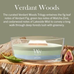 Verdant Woods Candle WoodWick - Fresh & Clean - thumbnail 5