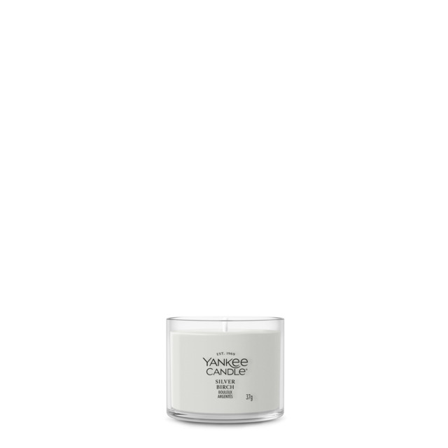 Silver Birch Candle Yankee Candle, Neutrals - Fresh & Clean - image 1