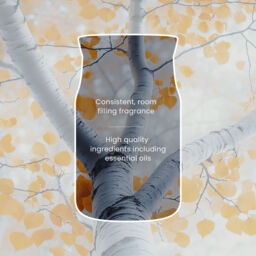 Silver Birch Candle Yankee Candle, Neutrals - Fresh & Clean - thumbnail 5