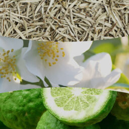 White Tea & Jasmine Candle WoodWick - Fruity & Citrus - thumbnail 3