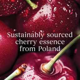 Black Cherry Candle Yankee Candle, Red - Fruity - thumbnail 6