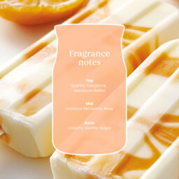 Tangerine & Vanilla Candle Yankee Candle, Orange - Citrus - thumbnail 4
