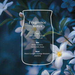 Midnight Jasmine Candle Yankee Candle, Neutrals - Floral - thumbnail 4
