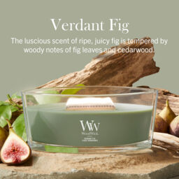 Verdant Fig Candle WoodWick, Green - Fruity & Citrus - thumbnail 7