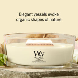 Lush Pomelo Candle WoodWick, Yellow - Fruity & Citrus - thumbnail 8