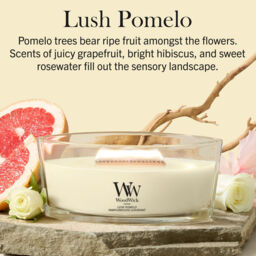 Lush Pomelo Candle WoodWick, Yellow - Fruity & Citrus - thumbnail 7