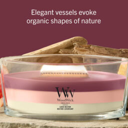 Lush Nectar Candle WoodWick - Fruity & Citrus - thumbnail 6