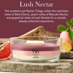 Lush Nectar Candle WoodWick - Fruity & Citrus - thumbnail 5