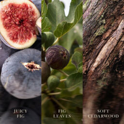 Verdant Fig Candle WoodWick, Green - Fruity & Citrus - thumbnail 5