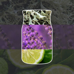 Midsummer's Night Candle Yankee Candle, Black - Fresh & Clean - thumbnail 3