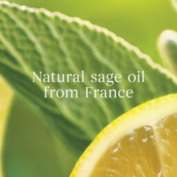 Sage & Citrus Candle Yankee Candle, Green - thumbnail 6