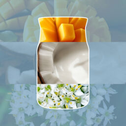 Salted Coconut Candle Yankee Candle, Blue - Floral - thumbnail 3
