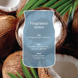 Salted Coconut Candle Yankee Candle, Blue - Floral - thumbnail 4