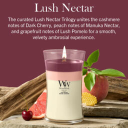 Lush Nectar Candle WoodWick - Fruity & Citrus - thumbnail 4