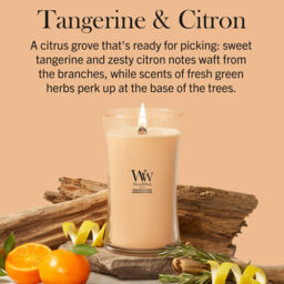 Tangerine & Citron Candle WoodWick, Orange - Fruity & Citrus - thumbnail 7