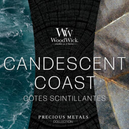 Candescent Coast Candle WoodWick, White, 9.9cm x 9.9cm x 11.4cm - Fruity & Citrus - thumbnail 3