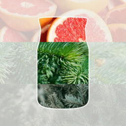 White Spruce & Grapefruit Candle Yankee Candle - Citrus - thumbnail 3