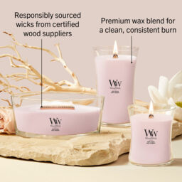 Rose Blush Candle WoodWick, Pink - Floral - thumbnail 9