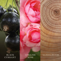Rose Blush Candle WoodWick, Pink - Floral - thumbnail 4