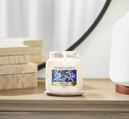 Midnight Jasmine Candle Original Medium Jar Candle Yankee Candle, Neutrals, 10.7cm x 12.7cm - Floral - thumbnail 4