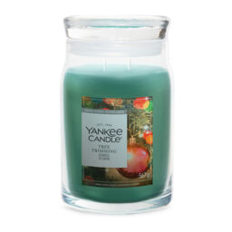 Tree Trimming Candle Signature Large Jar Candle Yankee Candle, Light Green - Citrus - thumbnail 2