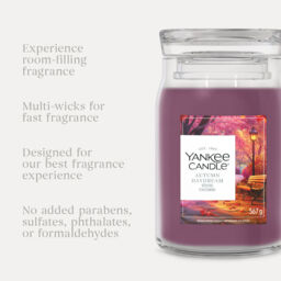 Autumn Daydream Candle Yankee Candle, Red - Fresh & Clean - thumbnail 7