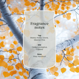 Silver Birch Candle Yankee Candle, Neutrals - Fresh & Clean - thumbnail 4