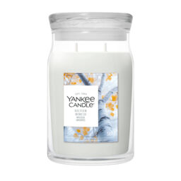Silver Birch Candle Yankee Candle, Neutrals - Fresh & Clean - thumbnail 1