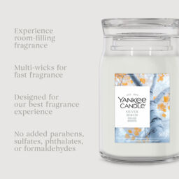 Silver Birch Candle Yankee Candle, Neutrals - Fresh & Clean - thumbnail 6