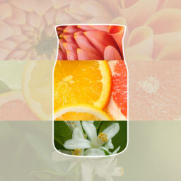 Sun & Sand Candle Yankee Candle® Mini, Neutrals - Floral - thumbnail 3
