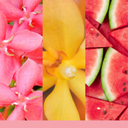 Pink Sands Candle Original Large Jar Candle Yankee Candle, 10.7cm x 16.8cm - Floral - thumbnail 3