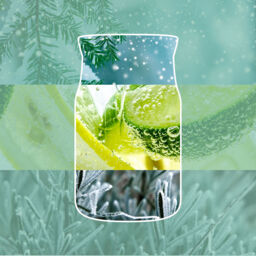 Tree Trimming Candle Signature Medium Jar Candle Yankee Candle, Light Green - Citrus - thumbnail 3
