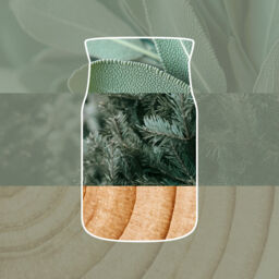 Silver Sage & Pine Candle Yankee Candle, Green - Woody - thumbnail 3