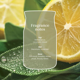 Sage & Citrus Candle Yankee Candle, Green - thumbnail 6