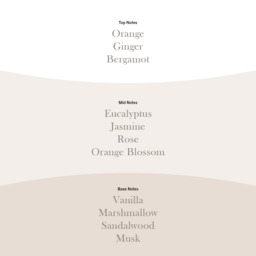 Crystal Ginger Candle WoodWick, Neutrals - Gourmand - thumbnail 4