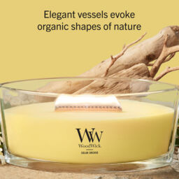 Solar Orchid Candle WoodWick, Yellow - Floral - thumbnail 8
