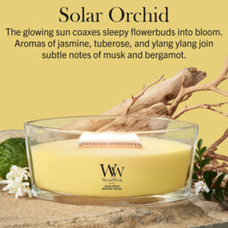 Solar Orchid Candle WoodWick, Yellow - Floral - thumbnail 7