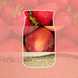 White Strawberry Bellini Candle Yankee Candle, Pink - Fruity - thumbnail 3