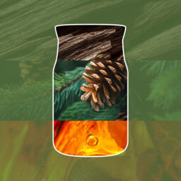 Balsam & Cedar Fireside Candle Yankee Candle, Green - Woody - thumbnail 3