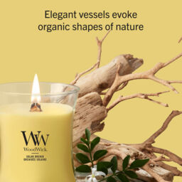 Solar Orchid Candle WoodWick, Yellow - Floral - thumbnail 6