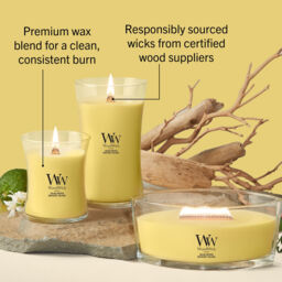 Solar Orchid Candle WoodWick, Yellow - Floral - thumbnail 9