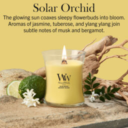 Solar Orchid Candle WoodWick, Yellow - Floral - thumbnail 5