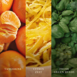 Tangerine & Citron Candle WoodWick, Orange - Fruity & Citrus - thumbnail 6