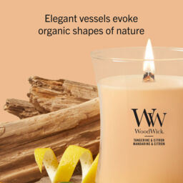 Tangerine & Citron Candle WoodWick, Orange - Fruity & Citrus - thumbnail 8