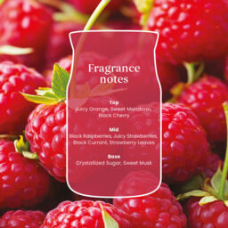 Red Raspberry Candle Yankee Candle - Fruity - thumbnail 5