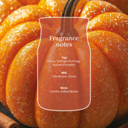 Spiced Pumpkin Candle Yankee Candle, Orange - Sweet & Spicy - thumbnail 5