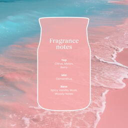 Pink Sands Candle Yankee Candle - Floral - thumbnail 7