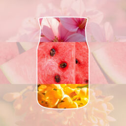 Pink Sands Candle Yankee Candle - Floral - thumbnail 3
