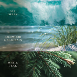Driftwood Shores Candle WoodWick - Woody - thumbnail 4