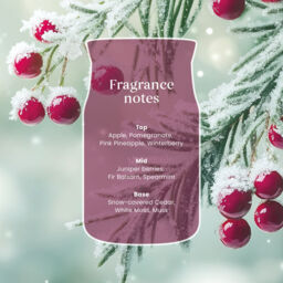 Sparkling Winterberry Candle Yankee Candle, Red - Fresh & Clean - thumbnail 5
